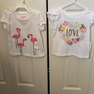 12 month shirt bundle